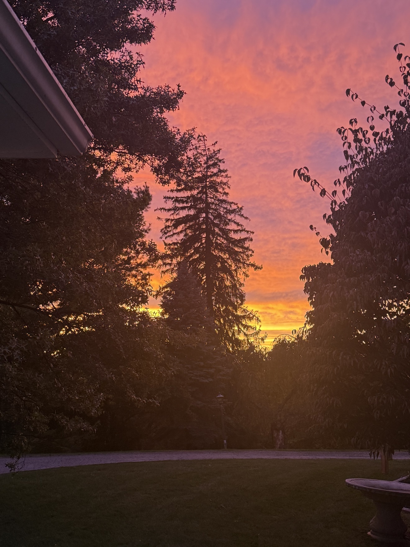 Sunset over the estate where Winston and his human sit on the front porch every evening